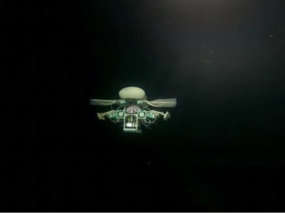 Robot Mini Ajaib yang Bisa Berjalan, Berenang, dan Meluncur di Dasar Laut Dalam