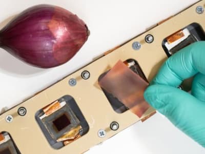 Film Perlindungan UV Berbasis Bawang Merah Gantikan Plastik pada Sel Surya