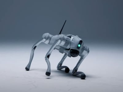 Luna Robot Anjing dengan Otak Digital yang Bisa Belajar Seperti Hewan