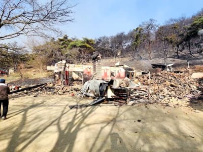 Kebakaran Hutan Membakar Kuil Bersejarah Unramsa di Korea Selatan