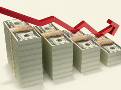 Banyak Perusahaan Pertanian Vertikal Bangkrut, Plenty Ajukan Restrukturisasi