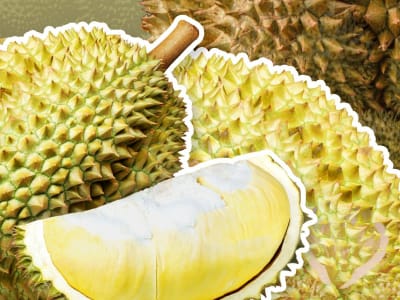 Indonesia Bersiap Ekspor Durian Beku ke China, Saingi Thailand dan Vietnam