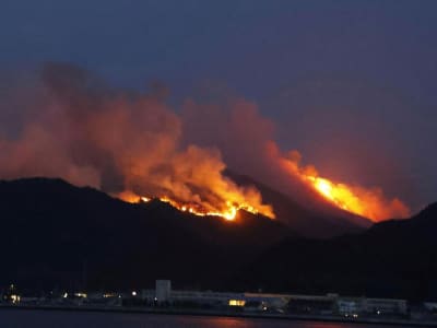 Kebakaran Hutan Melanda Jepang Barat, Warga Mengungsi dan Rumah Rusak