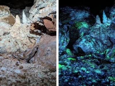 Menelusuri Jejak Kehidupan di Gua Wind sebagai Analog Bulan Europa