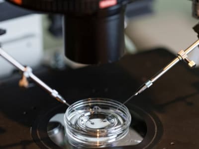 Glikan Alami Tingkatkan Umur Sperma dan Efisiensi Fertilisasi IVF