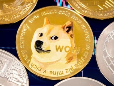 House of Doge Luncurkan Cadangan Dogecoin Rp 30.09 miliar ($1,83 Juta)  Untuk Transaksi Sehari-hari
