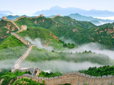 Penghitungan Pohon di China Menggunakan Teknologi Laser Ungkap 142,6 Miliar Pohon