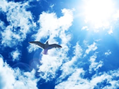 Gerakan Baru untuk Web Terdesentralisasi: Membebaskan Pengguna dari Kekuasaan Platform Besar