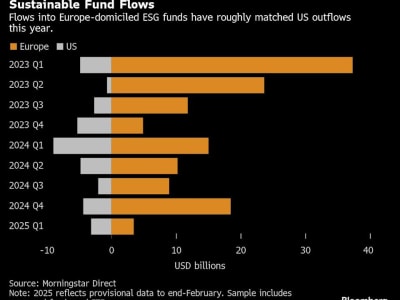 Amundi Manfaatkan Perbedaan Sikap ESG antara Eropa dan Amerika untuk Tarik Investasi