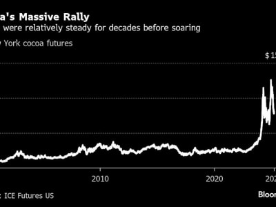 Mengintip Rahasia Penghitungan Buah Kakao untuk Prediksi Panen Global