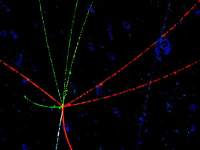 Penemuan Perbedaan Perilaku Materi dan Antimateri pada Baryon Proyeksi Besar
