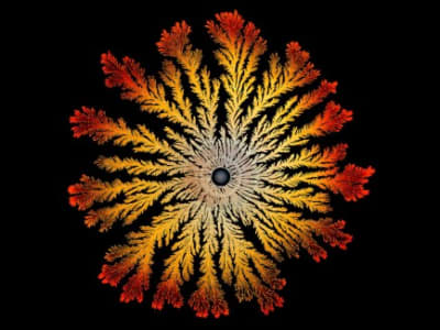 Molekul Antibiotik Baru dari Tanah Kebun Menangkal Bakteri Resisten Obat