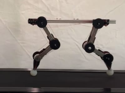 Robot Quadruped Tanpa Motor Mengadopsi Sinergi Gerak Anjing untuk Adaptasi Maksimal