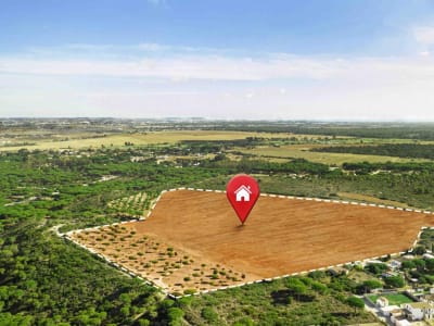 Pemerintah Atur Penertiban Tanah Terlantar untuk Maksimalkan Manfaat Lahan