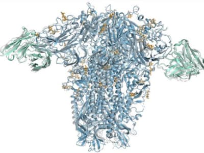 Krisis Data AlphaFold 3: Perusahaan Farmasi Bangun AI Baru untuk Obat