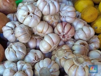 Tata Kelola Impor Bawang Putih Buruk Picu Harga Melonjak di Pasaran