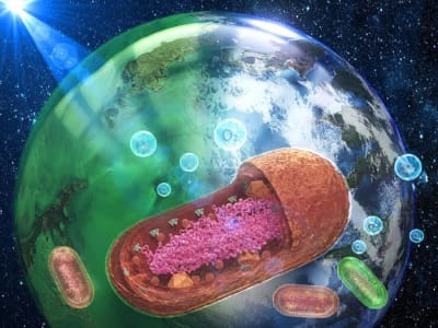 Lautan Hijau Bumi Purba: Rahasia Cyanobacteria dan Evolusi Kehidupan Awal