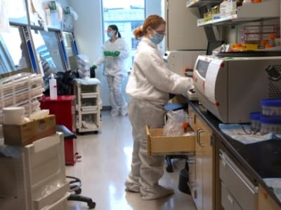 Dana Hibah AS Berkurang, Peneliti Soft-Money Terancam Kehilangan Pekerjaan