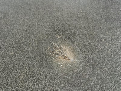 Peringatan PBB: Pemanasan Global Ancaman Serius Bagi Asia dan Indonesia