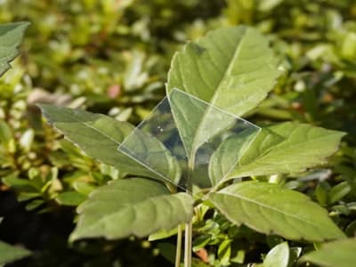 Plastik Baru yang Kuat dan Mudah Terurai di Air Laut Cegah Mikroplastik