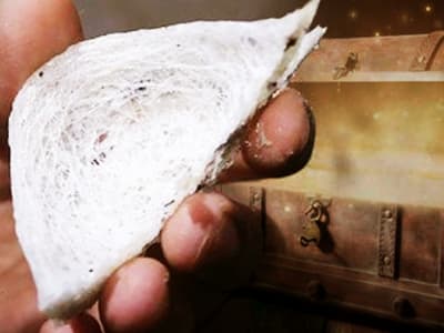 Kisah Keberuntungan Jonathan Michiels: Dari Tanah Kosong Jadi Warisan Kaya