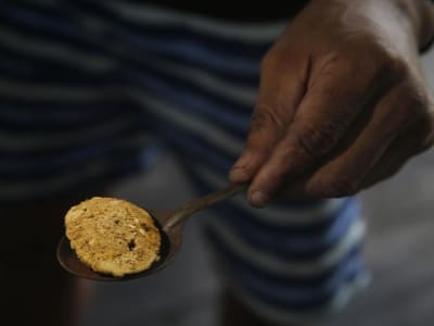 Misteri Sungai Emas Sumatera dan Kejayaan Kerajaan Sriwijaya Terungkap