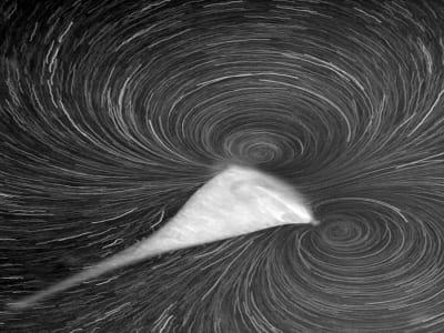 Bagaimana Organisme Uniseluler 'Hangout' Jadi Kunci Evolusi Multiseluler