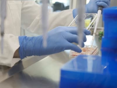 65 Equity Dukung Akuisisi Besar untuk Perkuat Perusahaan Bahan Farmasi di Eropa