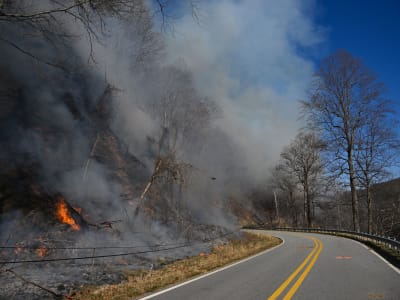 Kebakaran Hutan Meluas di Carolinas Akibat Kondisi Kering dan Perubahan Iklim