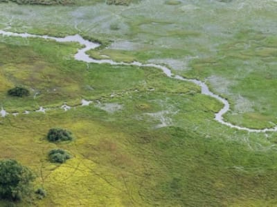 Mengungkap Rahasia DNA Perempuan Kuno di Sahara yang Pernah Hijau