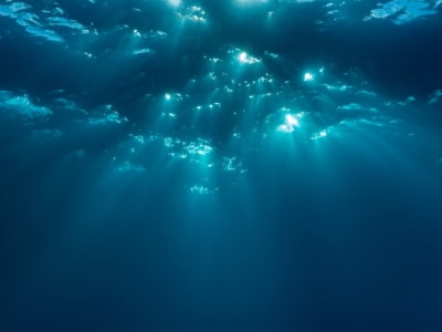 Habitat Bawah Laut China: Kunci Masa Depan Energi dan Pelestarian Laut Dalam