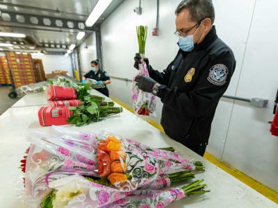 Vertical Cold Storage Akuisisi Arctic Logistics Perkuat Jaringan Penyimpanan Dingin