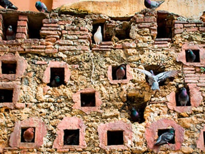 Prinsip Empty-Pigeonhole: Cara Baru Memahami Kesulitan Masalah Komputasi