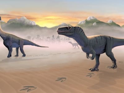 Jejak Langka Dinosaurus di Pulau Skye Ungkap Kehidupan Jurassic 167 Juta Tahun Lalu