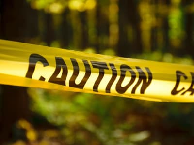 Tarif Trump Memperparah Masalah Apple dan Wayfair, Investor Harus Waspada