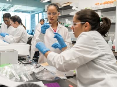 NSF Pangkas Jumlah Fellowship Peneliti Muda Hingga Setengah, Masa Depan Sains Terancam