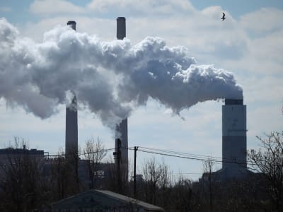 Trump Dorong Batu Bara Jadi Solusi Energi Besar untuk Industri AI Amerika