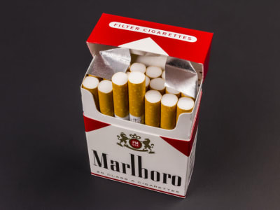 Mengapa Saham Philip Morris Jadi Pilihan Stabil di Tengah Ketidakpastian Ekonomi