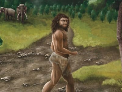 Penemuan Fosil Rahang Denisovan di Taiwan Perluas Peta Distribusi Manusia Purba