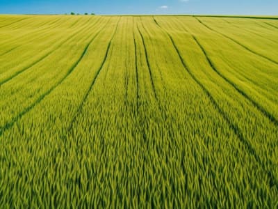 Mengapa Saham CF Industries Termasuk 8 Saham Pertanian Kecil Terburuk Tahun Ini