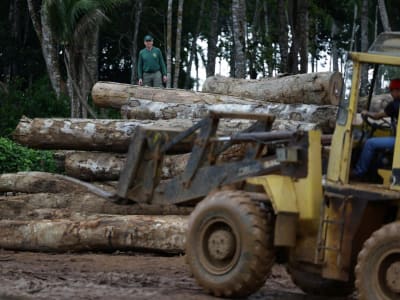 Penelitian Ungkap Tahun 2023 Jadi Tahun Terpanas 2.000 Tahun Terakhir