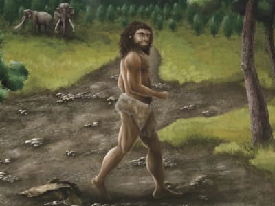Penemuan Rahang Denisovan di Taiwan Ubah Peta Persebaran Manusia Purba