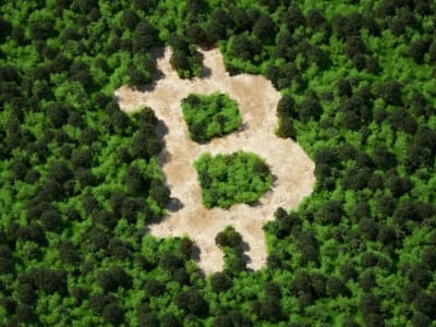 Amerika Serikat Perlu Audit dan Strategi Baru untuk Cadangan Bitcoin Nasional