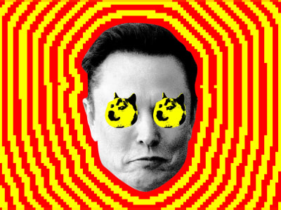 Popularitas Elon Musk Turun Drastis Setelah Perannya di Pemerintahan dan Politik