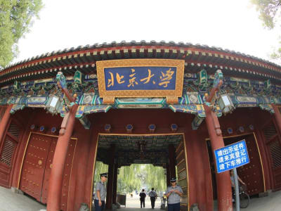 Wang Jiangtao, Bintang Muda Fisika, Kembali ke Peking University