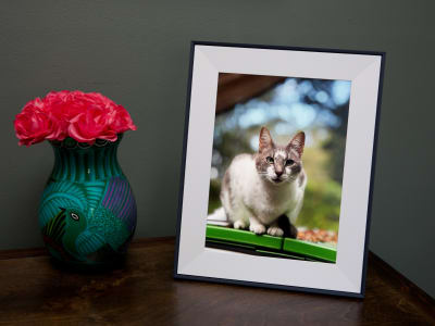 Aura The Aspen: Bingkai Foto Digital Slim dengan Fitur Cerdas untuk Keluarga