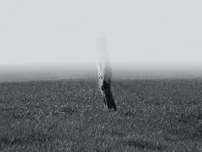 Korelasi Bitcoin dan Saham AS Melemah di Tengah Kebijakan The Fed yang Hawkish