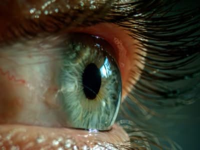 Penelitian Membuka Warna Baru yang Belum Pernah Dilihat Mata Manusia