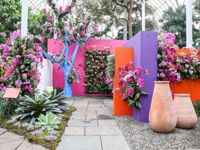 Kebun Botani Terpopuler di AS Kuasai Instagram dengan Konten Edukatif dan Visual Menarik