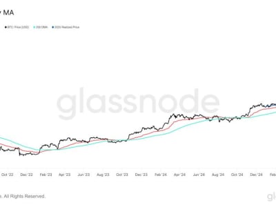Dominasi Bitcoin dan Stablecoin Meningkat, Tapi Ether Terpuruk di 2025